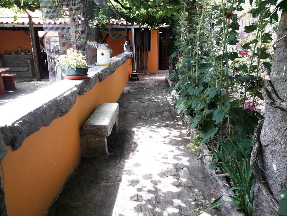 Quinta Da Moagem Villa มาเซโด เด กาบาเลย์รอส ภายนอก รูปภาพ
